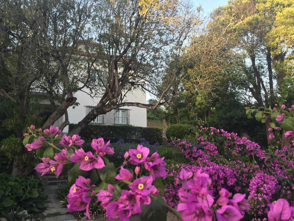 Lanui Vintage Guest House 신트라 외부 사진